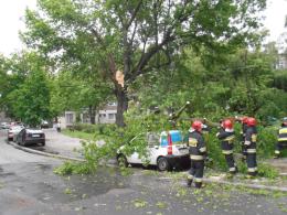 Złamany konar spadł na samochód