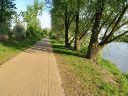 Gdzie na rower w Opolu i okolicy?
