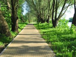 Gdzie na rower w Opolu i okolicy?