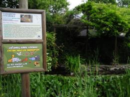 Kradzież małp w opolskim ZOO