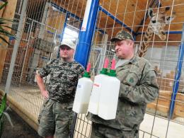Żyrafa z opolskiego zoo stawia, że Grecja wygra z Polską