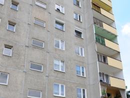Paw siedział na parapecie okna na piątym piętrze