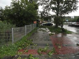 Nawałnica nad Opolem - wiatr przewracał drzewa i garaże