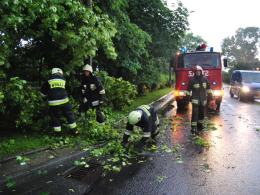 Nawałnica nad Opolem - wiatr przewracał drzewa i garaże