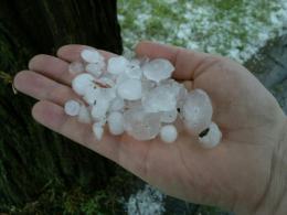 Gradobicie nie ominęło też ulicy Teligi w Opolu.
