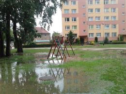 Kolejne zniszczenia po wieczornej burzy