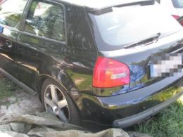 Policjanci namierzyli dziuplę ze skradzionymi autami