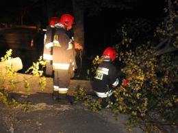 Połamane drzewa i gałęzie - bilans nocnej burzy