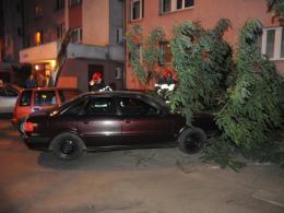 Połamane drzewa i gałęzie - bilans nocnej burzy