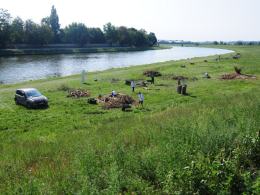 W Opolu trwa festiwal Land Art