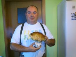 Robert Dziuba zbierał grzyby w lesie w Borkowicach.
