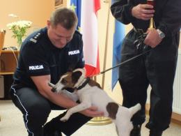Baszta najlepsza wśród psów do wykrywania narkotyków