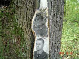 W Strojcu powstał leśny pomnik ofiar katastrofy smoleńskiej
