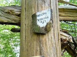 W Strojcu powstał leśny pomnik ofiar katastrofy smoleńskiej