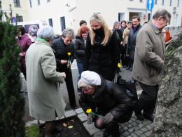 Akcja „Pola Nadziei” w Opolu. Urzędnicy sadzili żonkile