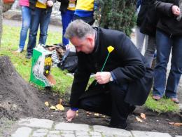 Akcja „Pola Nadziei” w Opolu. Urzędnicy sadzili żonkile