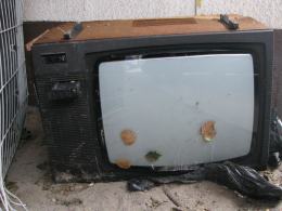 Wpuścił do rzeki kilkaset śniętych ryb