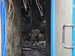 Około 300 zwierząt spłonęło w nocnym pożarze ogrodu zoologicznego