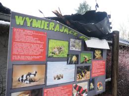 Około 300 zwierząt spłonęło w nocnym pożarze ogrodu zoologicznego
