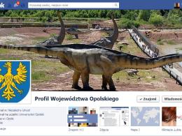 Po naszym artykule, z nazwy profilu usunięto słowo "Oficjalny".