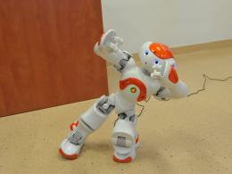 Francuski robot posłuży do nauki programowania