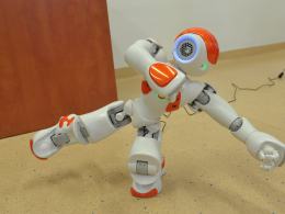 Francuski robot posłuży do nauki programowania