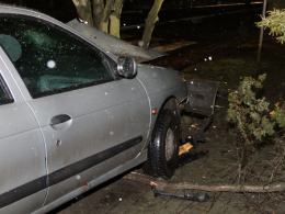 Kierowca roztrzaskał auto na drzewie i uciekł