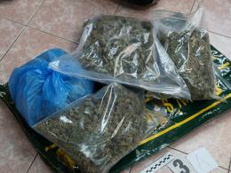 18 kilogramów marihuany wieźli z Holandii narkotykowi kurierzy