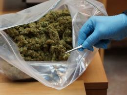18 kilogramów marihuany wieźli z Holandii narkotykowi kurierzy