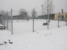 Dobra passa opolskiego schroniska dla zwierząt