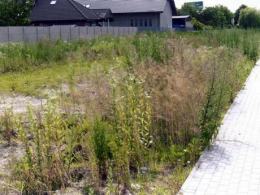 A tak to samo podwórze wyglądało przed akcją "Odmień swoje podwórko".