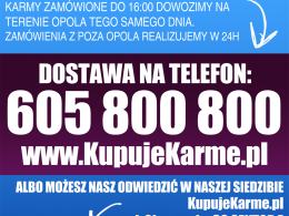 Sprawdź nowy sklep z karmą dla zwierząt !