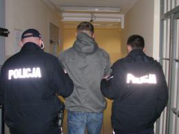 Ponad 100 krzewów konopi na plantacji zlikwidowanej przez policję