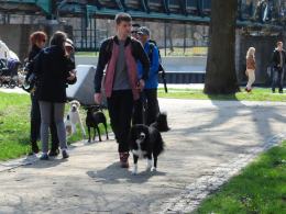 Festyn dla miłośników czworonogów w Parku Nadodrzańskim