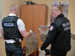 Ponad 3 kilogramy marihuany przechwycili celnicy i policjanci CBŚ