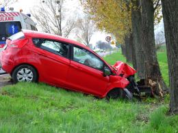 Ford uderzył w drzewo w Łukowicach Brzeskich