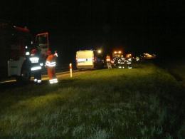 Samochód jadący autostradą uderzył w dzika