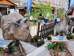 Egzotyka w centrum Opola. Trwają Międzynarodowe Targi Turystyki.