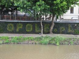 Rzeźby z krawatami i balon nad miastem. Opole tętni festiwalem.