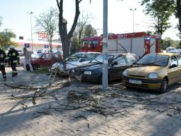Spadająca gałąź uszkodziła trzy samochody