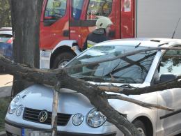 Spadająca gałąź uszkodziła trzy samochody