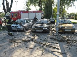 Spadająca gałąź uszkodziła trzy samochody