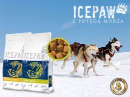 Formuła ICEPAW - rewolucja w karmie dla psów!