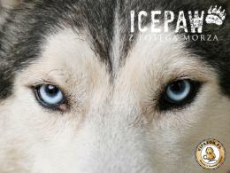 Formuła ICEPAW - rewolucja w karmie dla psów!
