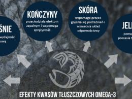 Formuła ICEPAW - rewolucja w karmie dla psów!