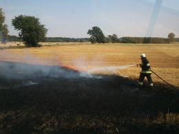 Iskra z kombajnu przyczyną pożaru