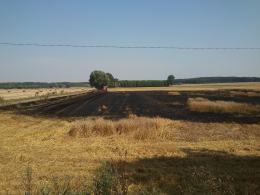 Iskra z kombajnu przyczyną pożaru