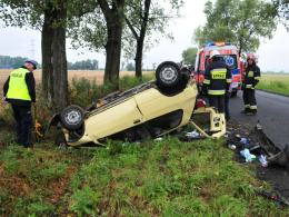 Renault uderzyło w drzewo i dachowało