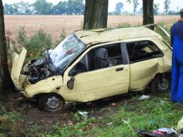 Renault uderzyło w drzewo i dachowało