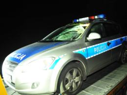 Policjant ranny po zderzeniu radiowozu z sarną